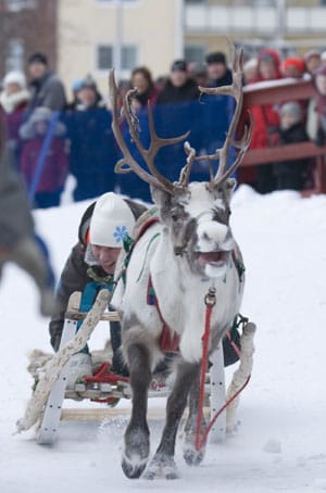 Schweden Schwedenstube Schneefestival in Kiruna zelebriert den Winter