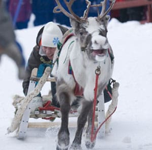 Schneefestival in Kiruna zelebriert den Winter